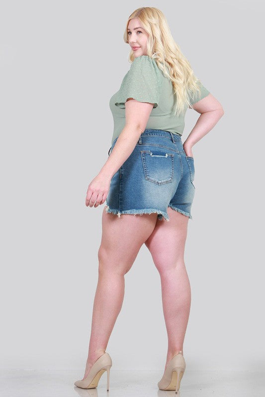 Special A High Rise Distressed Shorts